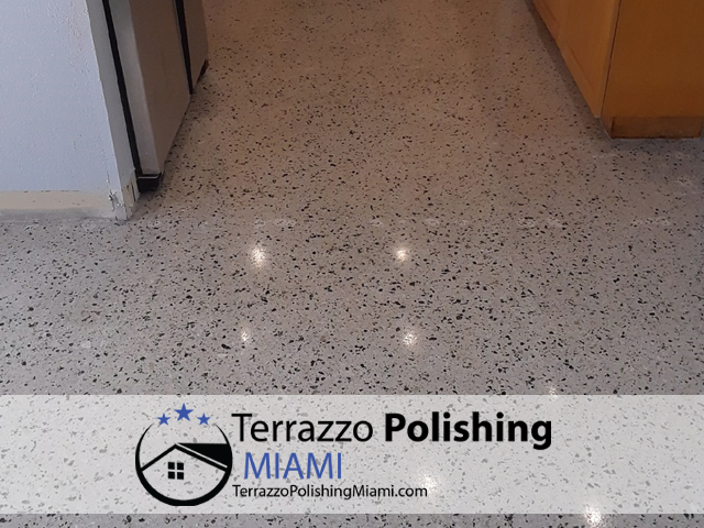 Clean Polished Terrazzo Floors